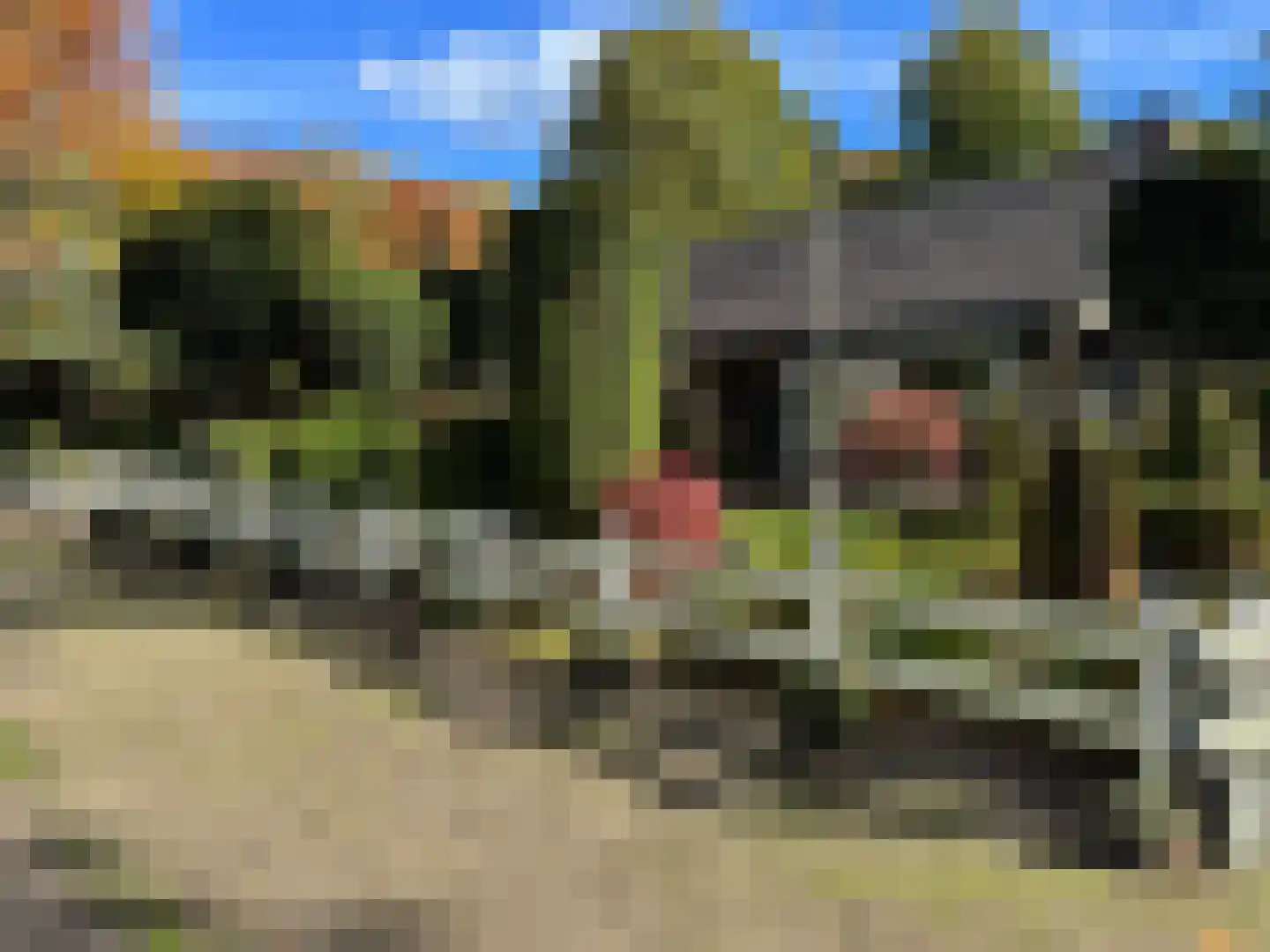 Klaarwaterboslaan 16 Putten thumbnail 39