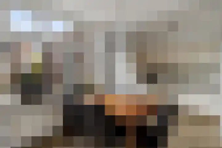 Klaas Benninkstraat 14 Genemuiden thumbnail 14