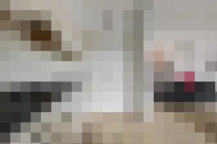 Klaas Benninkstraat 14 Genemuiden thumbnail 15