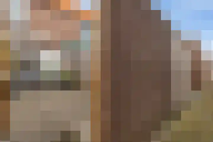 Klaas Benninkstraat 14 Genemuiden thumbnail 19