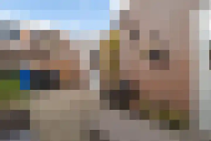Klaas Benninkstraat 14 Genemuiden thumbnail 20