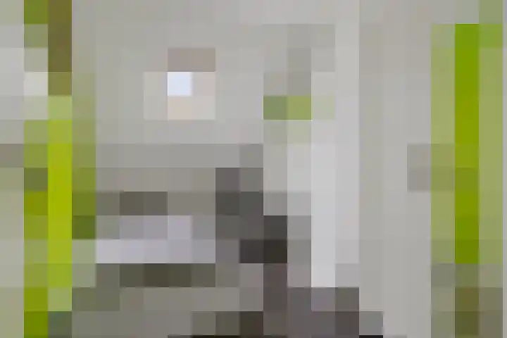 Klaas Benninkstraat 14 Genemuiden thumbnail 29
