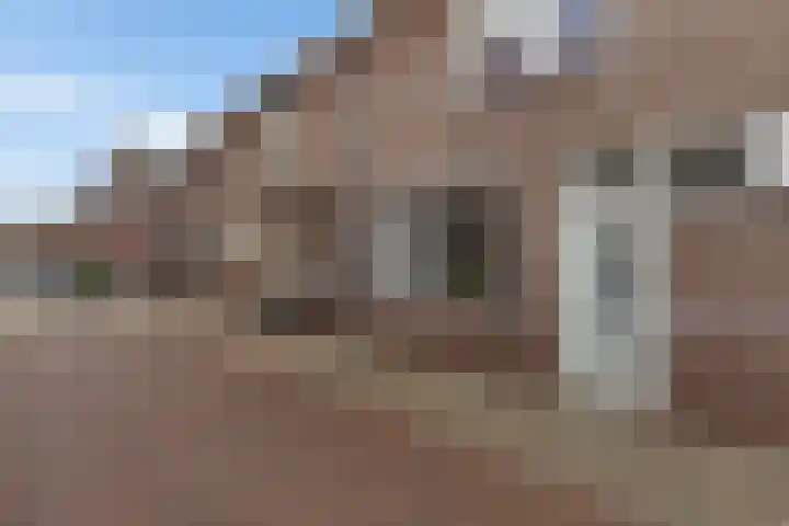 Klaas Benninkstraat 14 Genemuiden thumbnail 7