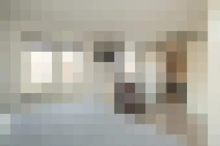 Klaas Benninkstraat 15 Genemuiden thumbnail 24