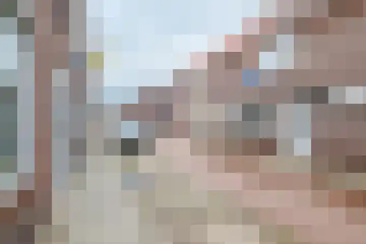 Klaas Benninkstraat 15 Genemuiden thumbnail 45