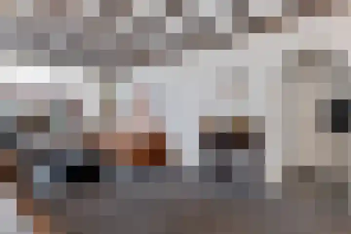 Klaas Benninkstraat 2 Genemuiden thumbnail 11