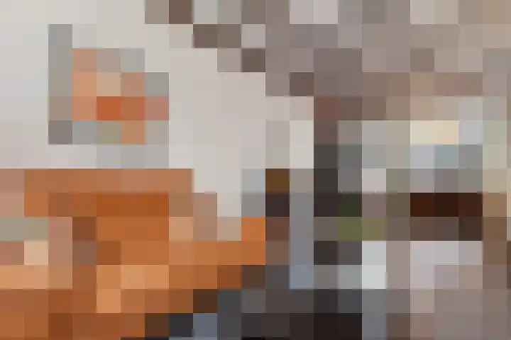 Klaas Benninkstraat 2 Genemuiden thumbnail 13
