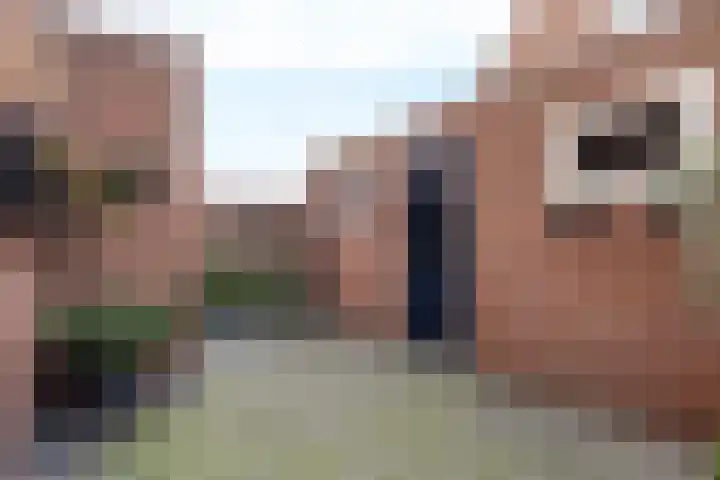 Klaas Benninkstraat 2 Genemuiden thumbnail 18