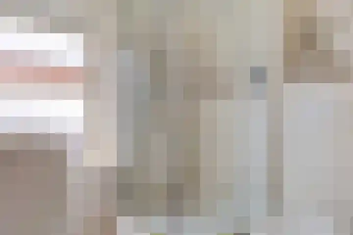 Klaas Benninkstraat 2 Genemuiden thumbnail 27