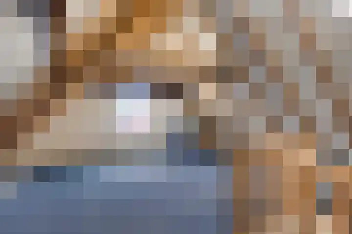 Klaas Benninkstraat 2 Genemuiden thumbnail 29