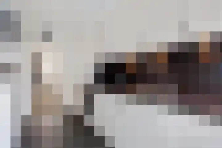 Klaas Benninkstraat 2 Genemuiden thumbnail 4