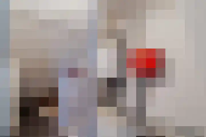Klaas Benninkstraat 3 Genemuiden thumbnail 29