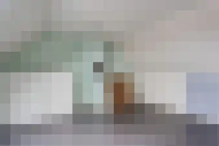 Klaas Benninkstraat 3 Genemuiden thumbnail 30