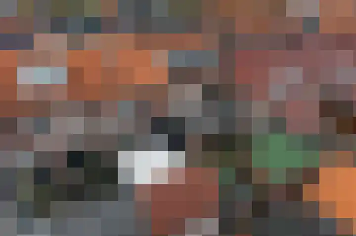 Klaas Benninkstraat 3 Genemuiden thumbnail 32