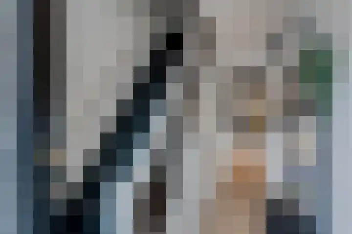 Klaas Benninkstraat 3 Genemuiden thumbnail 5