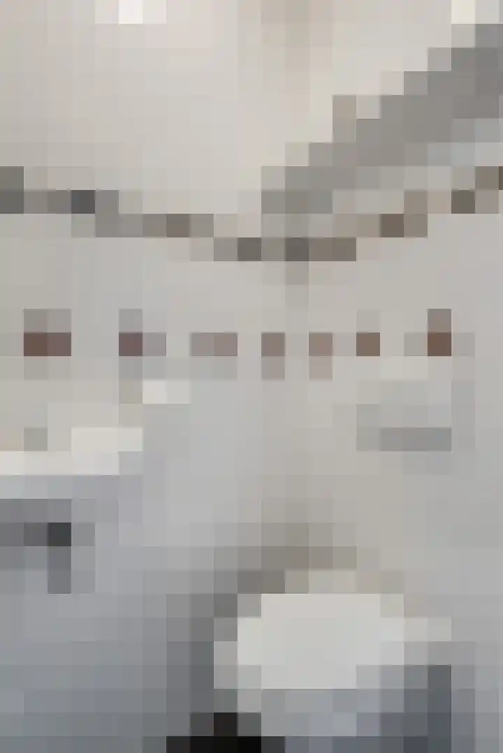 Klaas Benninkstraat 3 Genemuiden thumbnail 6