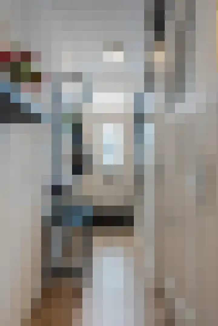 Klaas Benninkstraat 3 Genemuiden thumbnail 7