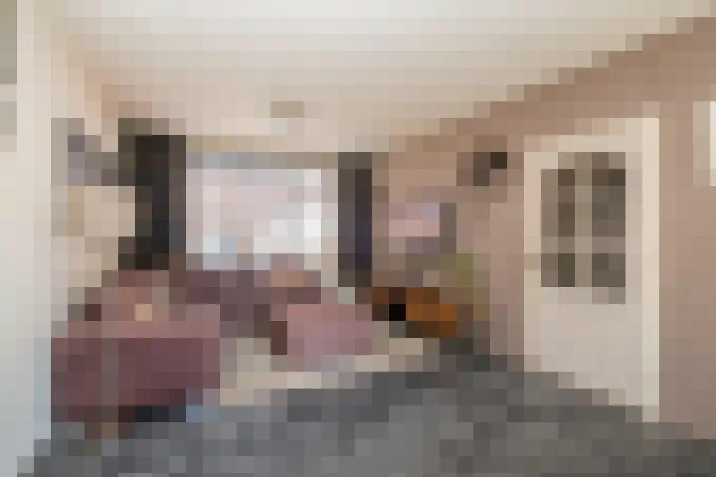Klaas Benninkstraat 4 Genemuiden thumbnail 6