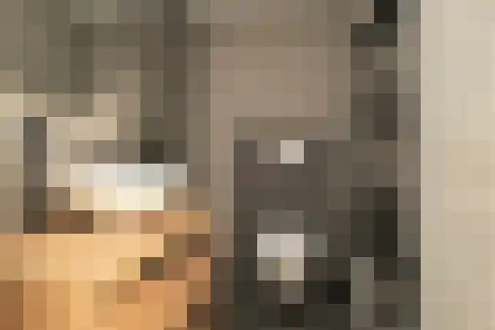 Klaas Benninkstraat 42 Genemuiden thumbnail 4