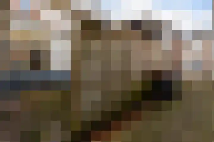 Klaas Benninkstraat 52 Genemuiden thumbnail 15