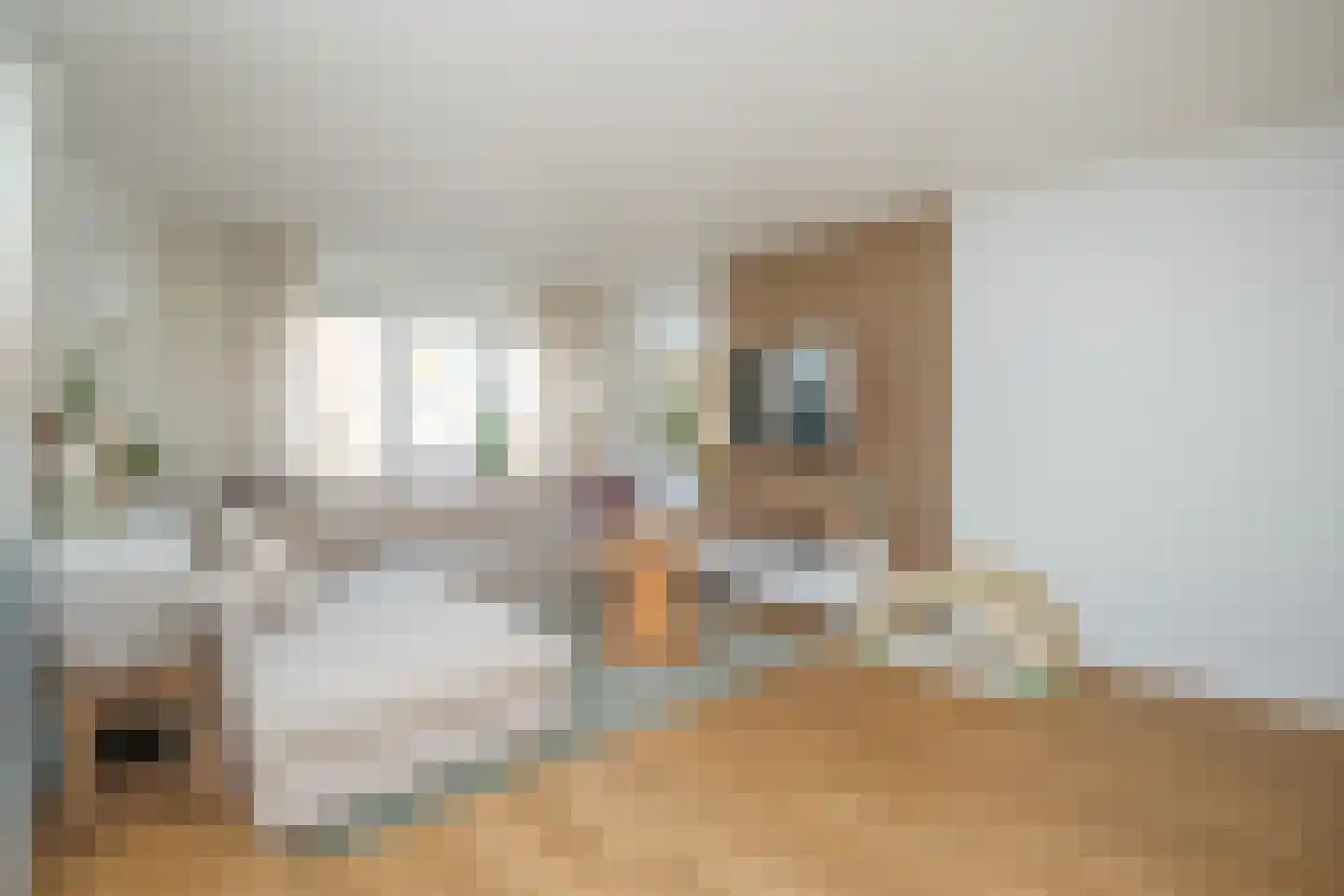 Klaas Benninkstraat 7 a Genemuiden thumbnail 14