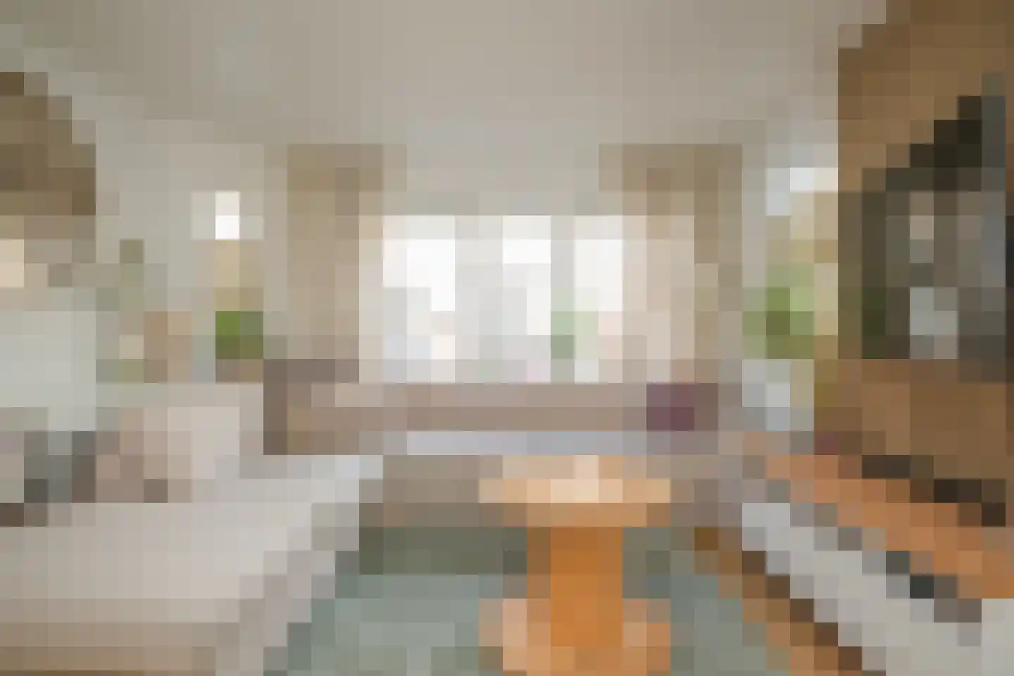 Klaas Benninkstraat 7 a Genemuiden thumbnail 16