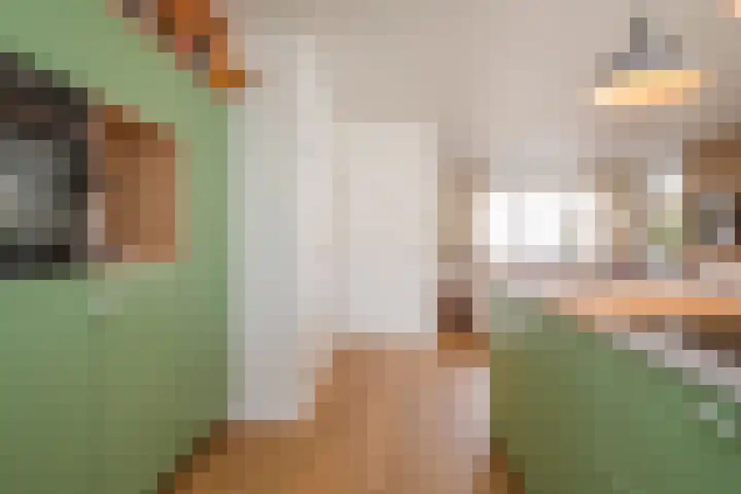 Klaas Benninkstraat 7 a Genemuiden thumbnail 21