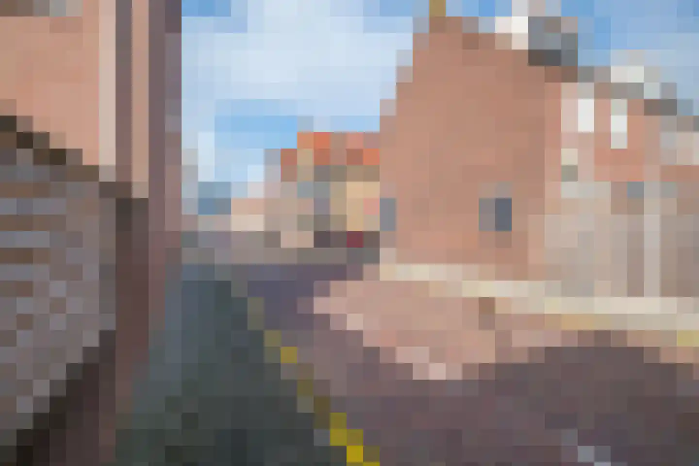 Klaas Benninkstraat 7 a Genemuiden thumbnail 54