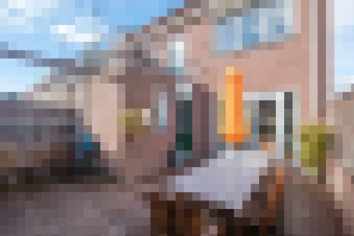 Klaas Benninkstraat 7 a Genemuiden thumbnail 7