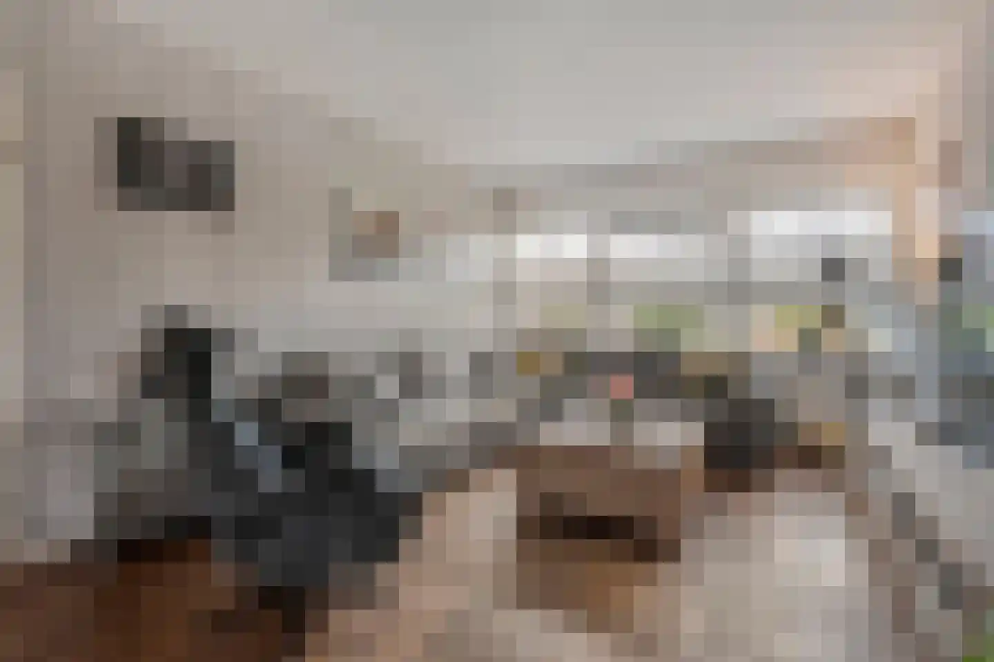 Klaas de Rookstraat 3 Hengelo thumbnail 10