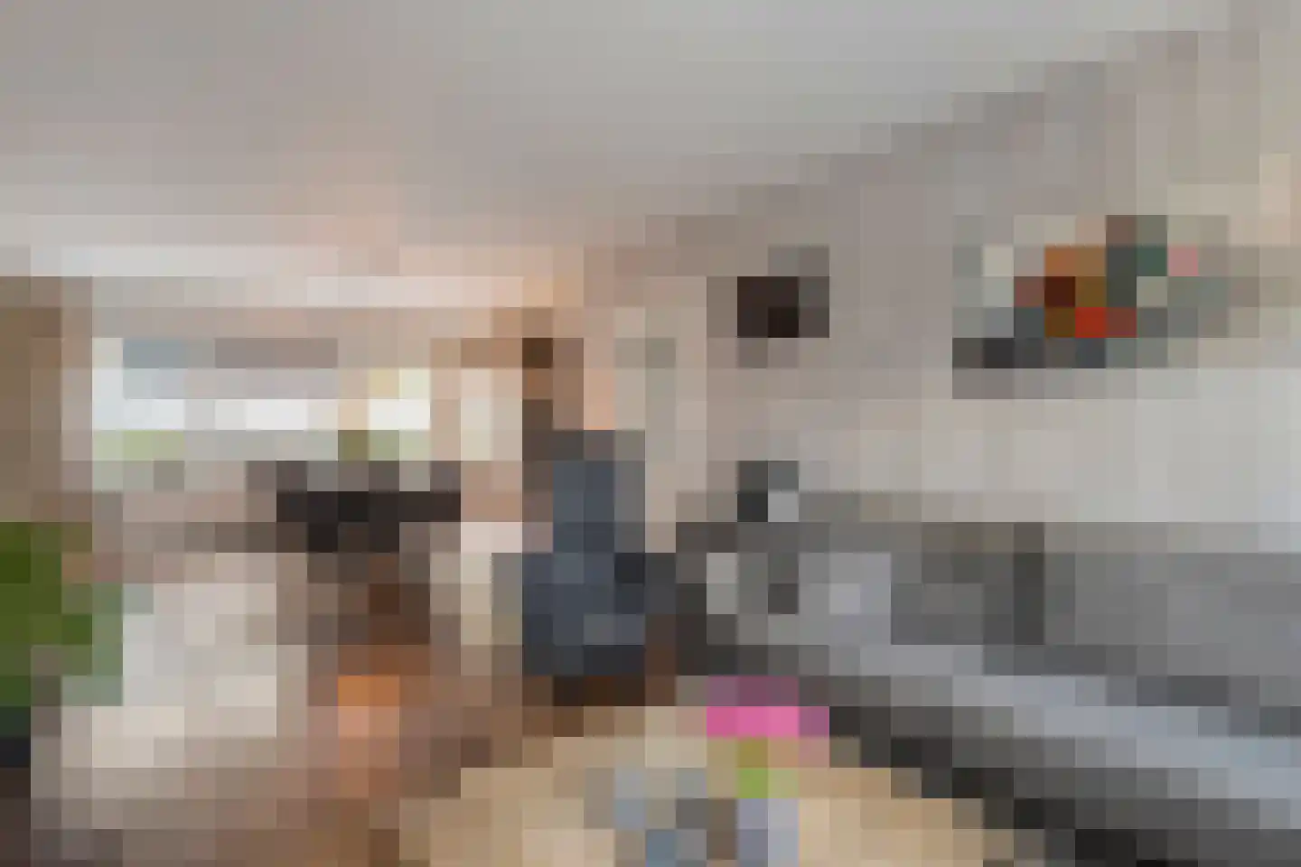 Klaas de Rookstraat 3 Hengelo thumbnail 11