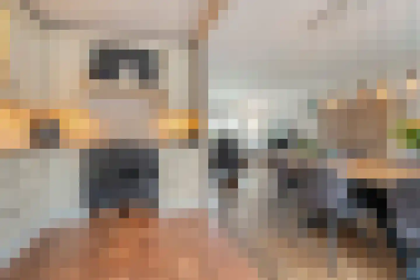 Klaas de Rookstraat 3 Hengelo thumbnail 14