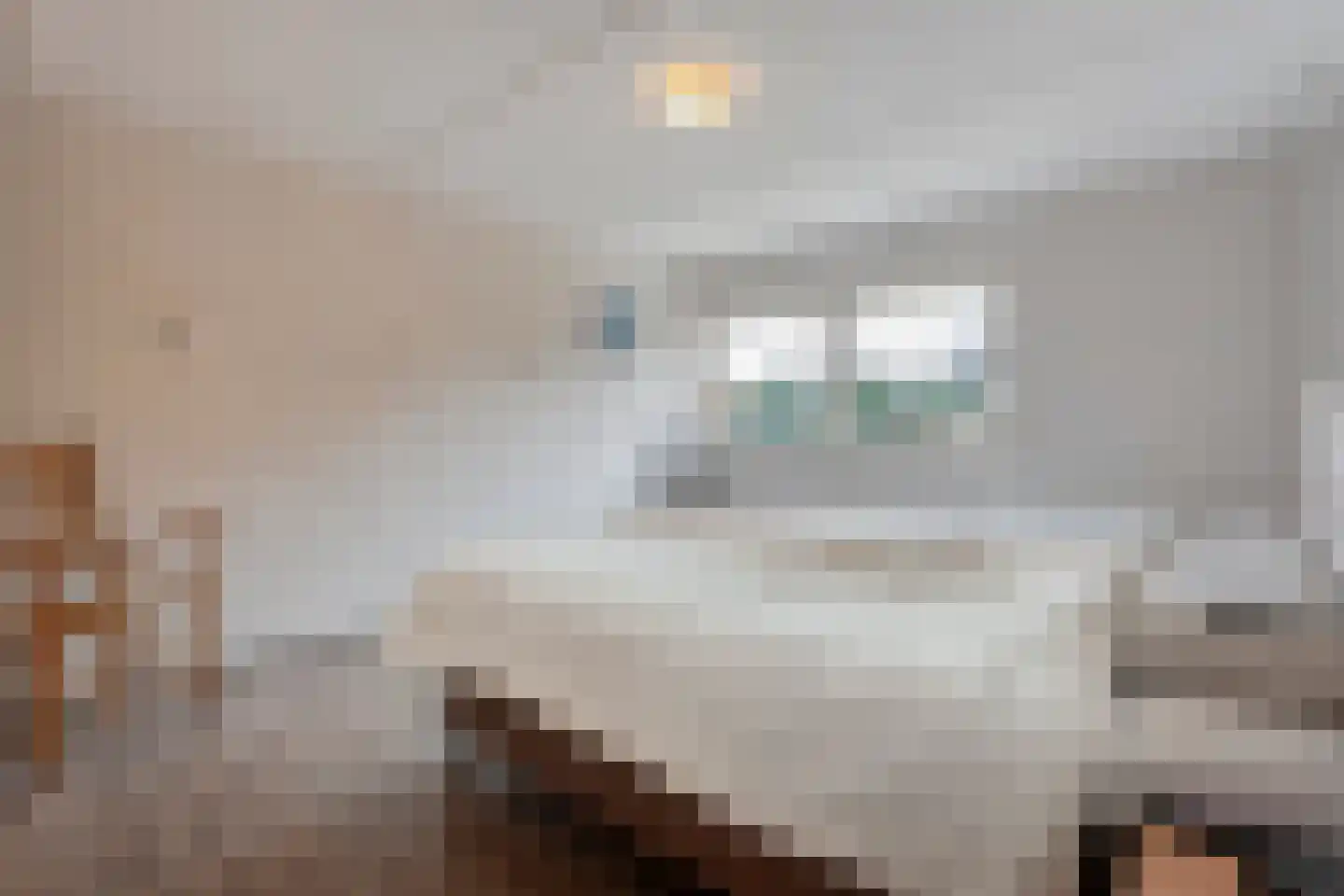 Klaas de Rookstraat 3 Hengelo thumbnail 21
