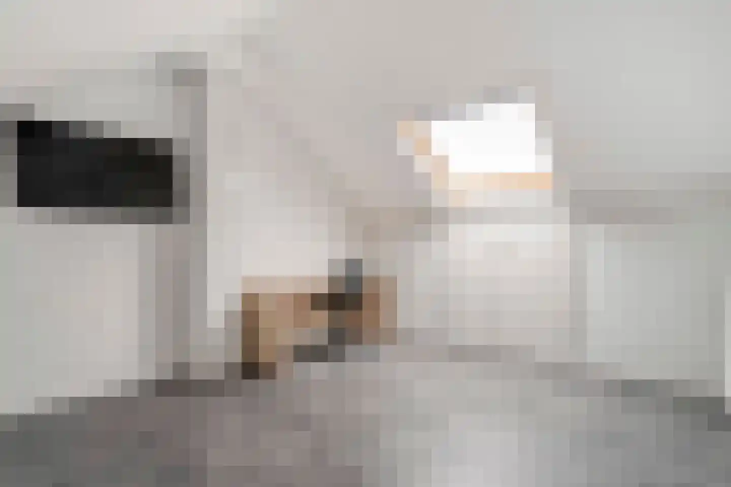 Klaas de Rookstraat 3 Hengelo thumbnail 31