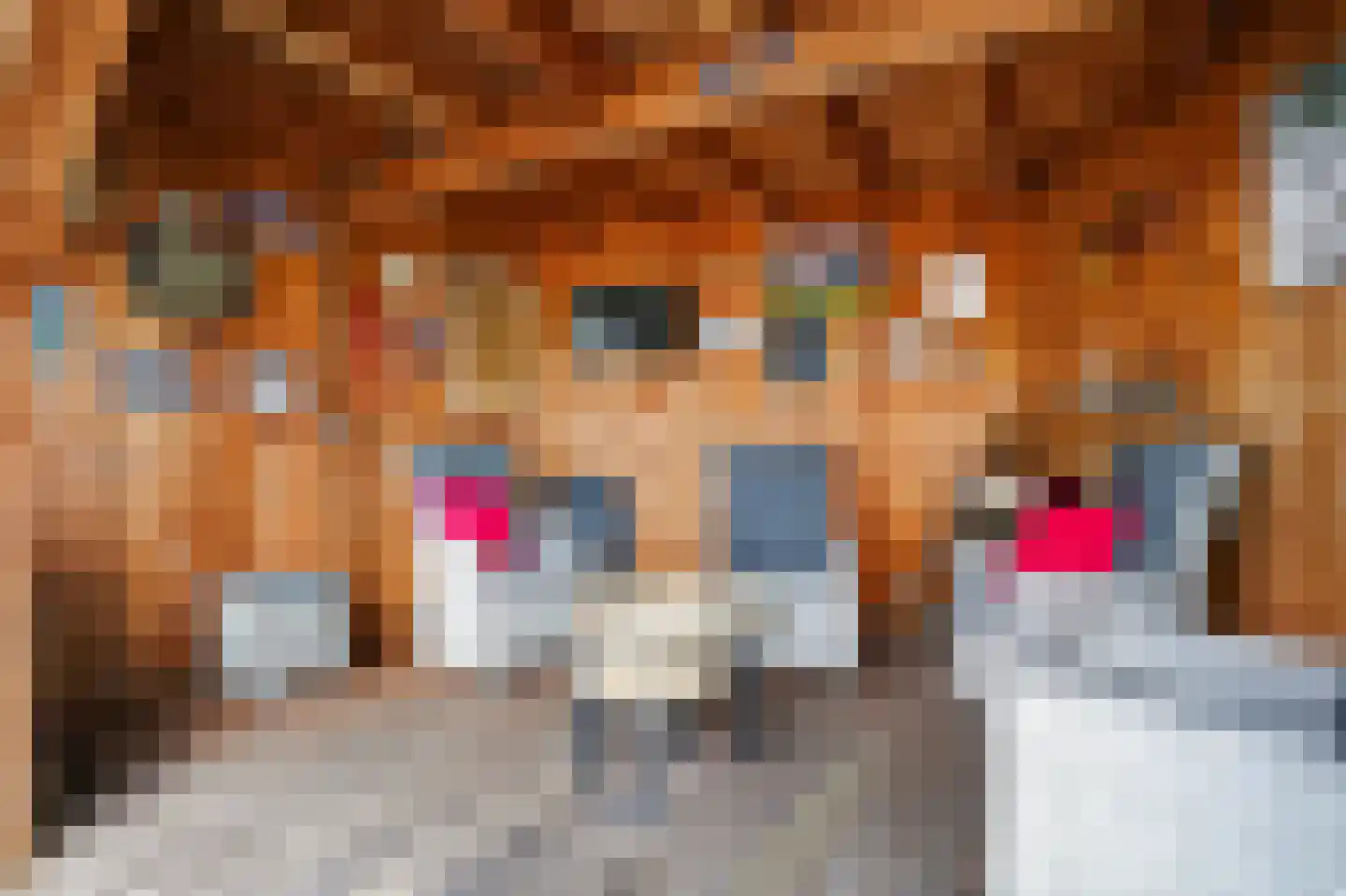Klaas de Rookstraat 3 Hengelo thumbnail 36