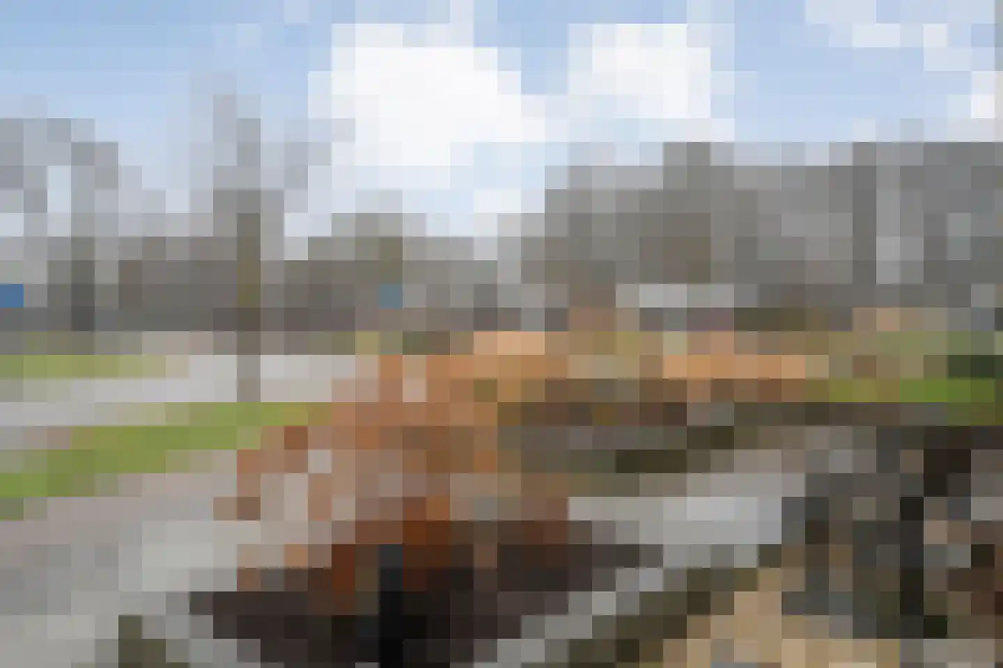 Klaas de Rookstraat 3 Hengelo thumbnail 5