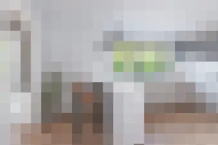 Klaas de Rookstraat 56 Hengelo thumbnail 4
