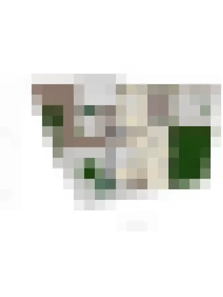 Klaas de Rookstraat 56 Hengelo thumbnail 47