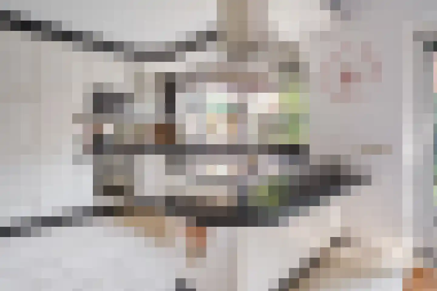 Klaas de Rookstraat 58 Hengelo thumbnail 15