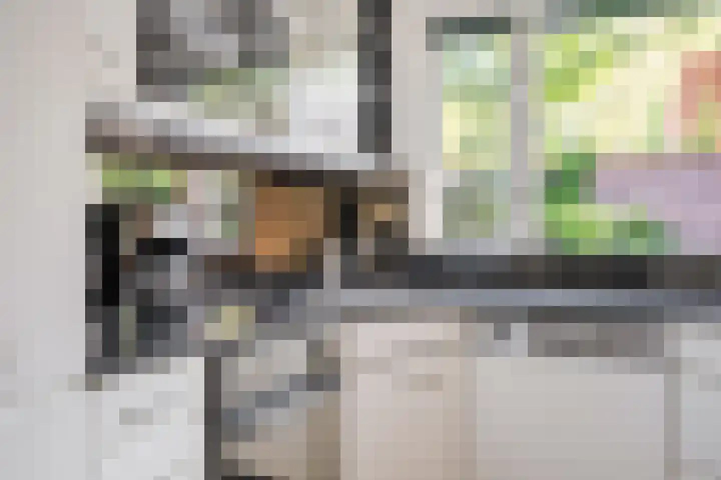Klaas de Rookstraat 58 Hengelo thumbnail 16
