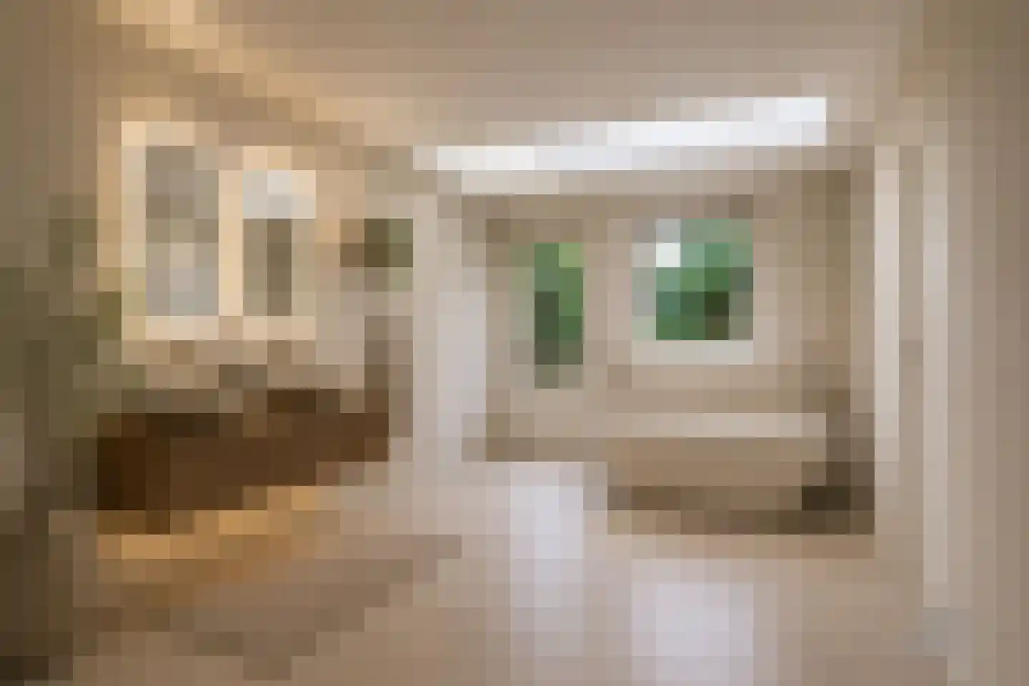 Klaas de Rookstraat 58 Hengelo thumbnail 25