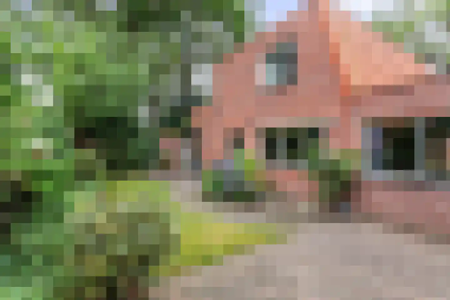 Klaas de Rookstraat 58 Hengelo thumbnail 29