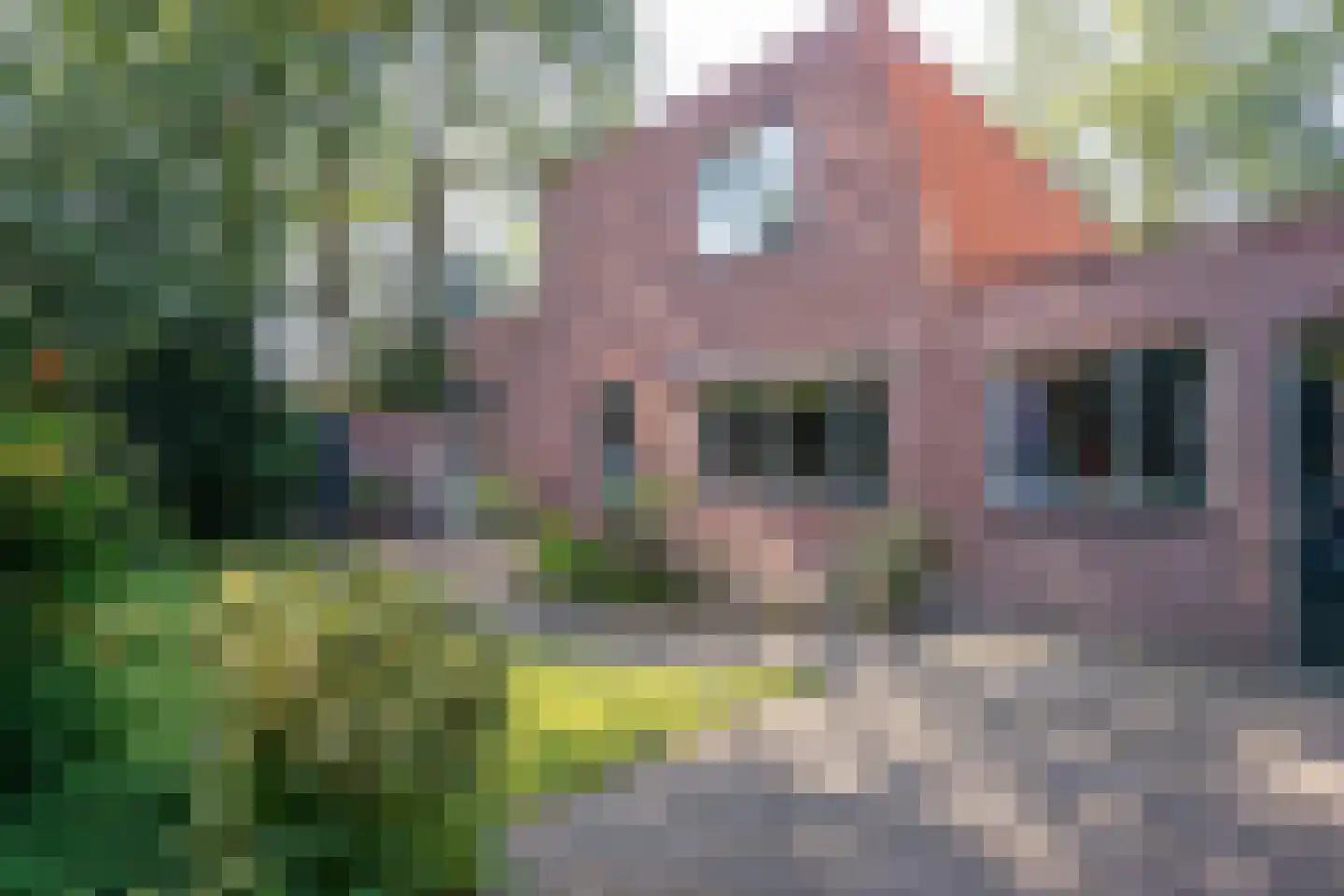 Klaas de Rookstraat 58 Hengelo thumbnail 49