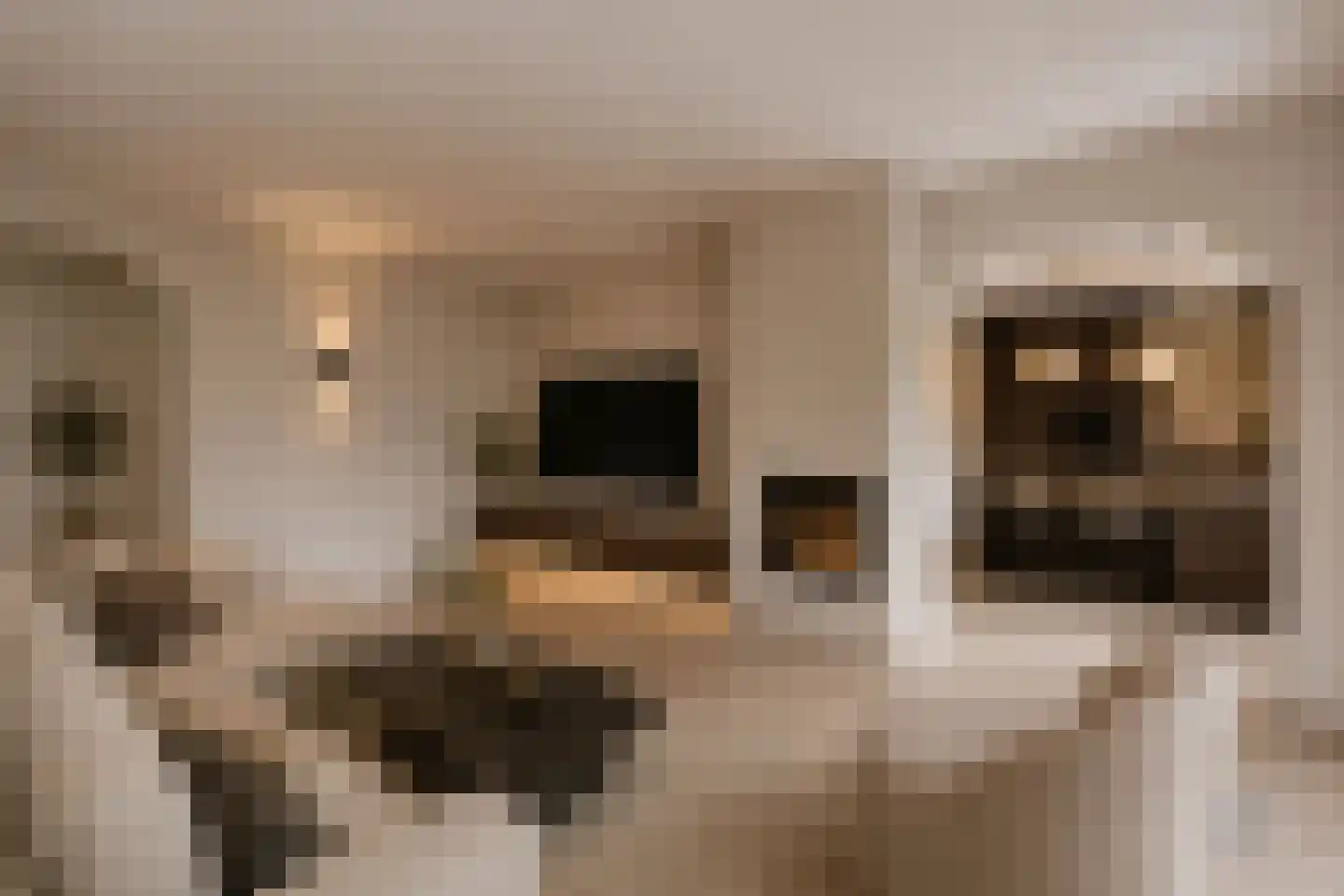 Klaas de Rookstraat 58 Hengelo thumbnail 8