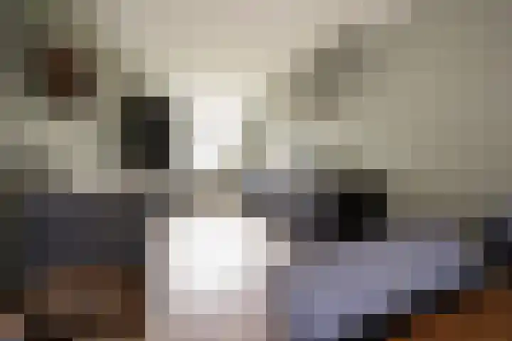 Klaas Frisohof 12 Putten thumbnail 10