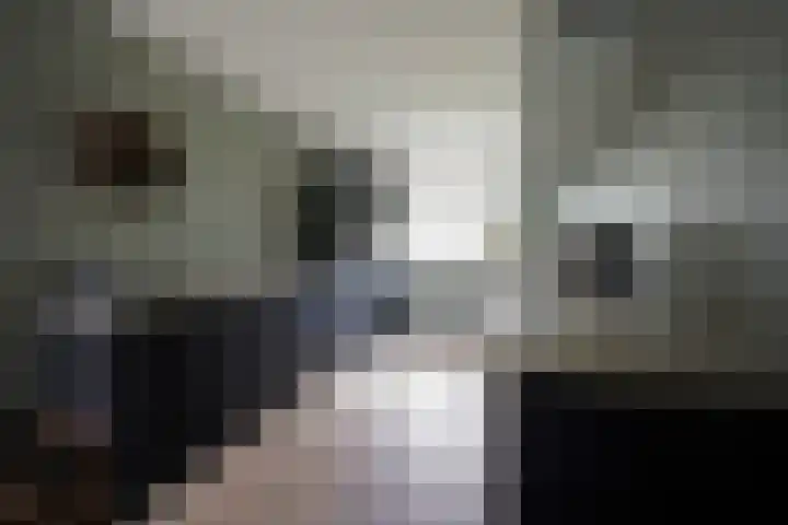 Klaas Frisohof 12 Putten thumbnail 11