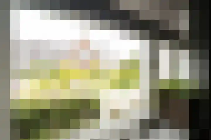 Klaas Frisohof 12 Putten thumbnail 12