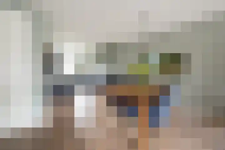 Klaas Frisohof 12 Putten thumbnail 15