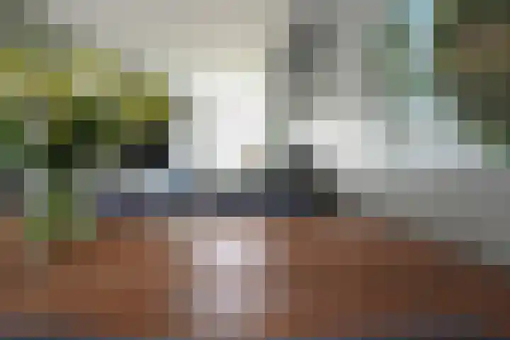 Klaas Frisohof 12 Putten thumbnail 16