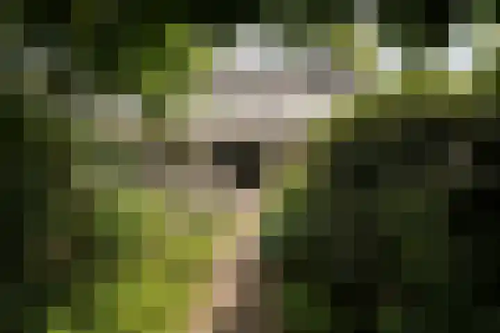 Klaas Frisohof 12 Putten thumbnail 18